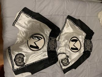Kick boxing shorts