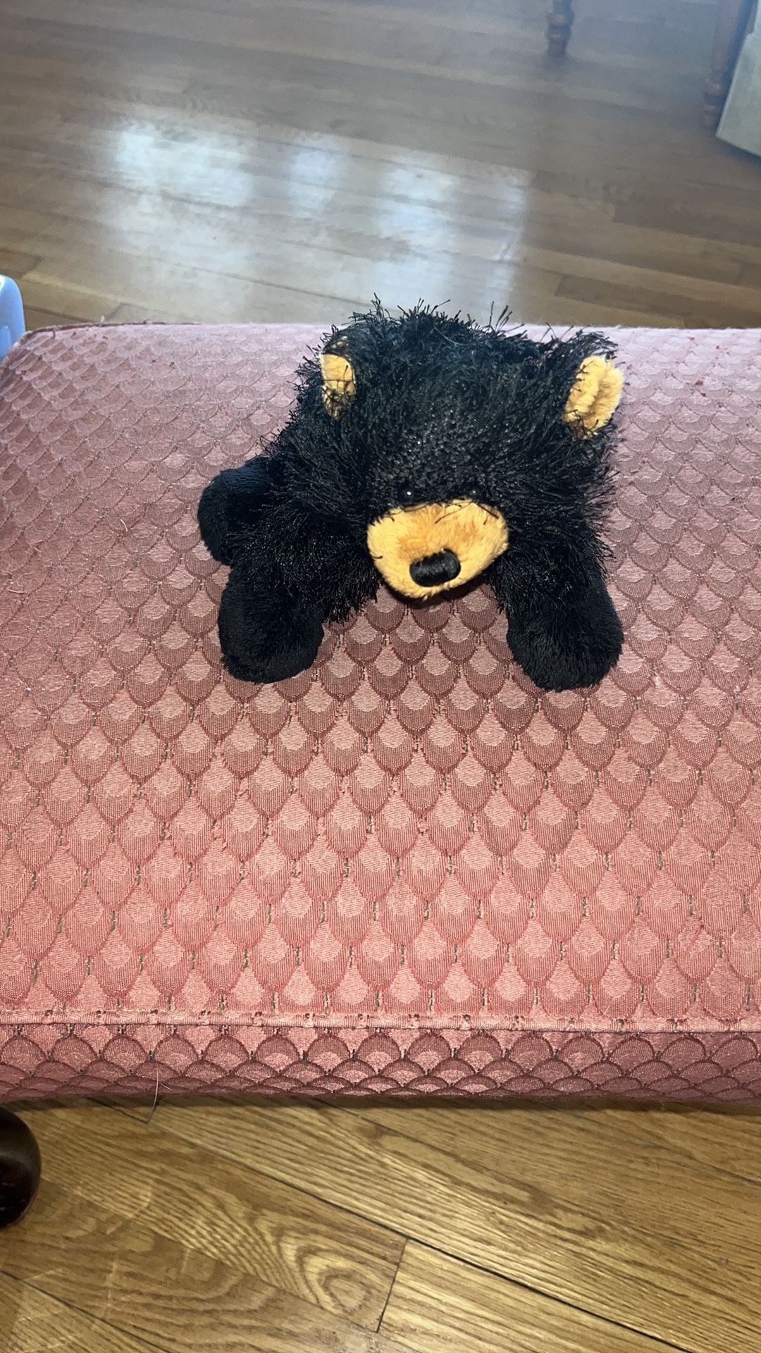 Webkinz Black Bear by Ganz
