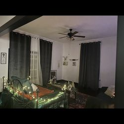 Black Iron Day Bed Twin 