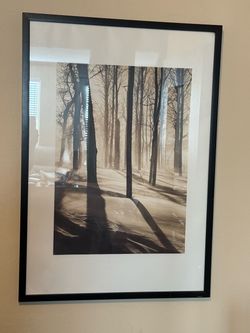 Framed Winter Forest Photography Print