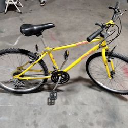 Classic Giant Mountain bike 