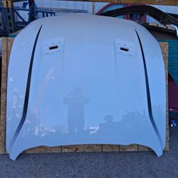 Hood Ford Mustang 2019 2022 