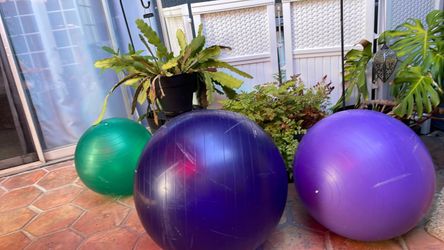 Exercise balls 6