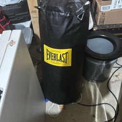 Everlast Punching bag