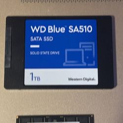 1TB WD Blue