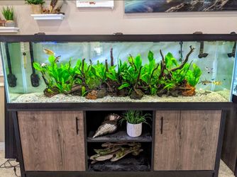 125 gallon fish tank stand
