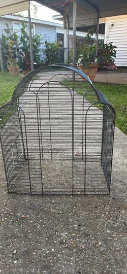 Small bird cage