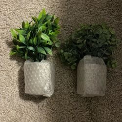 2 New Fake Plants 