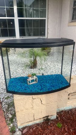 Fish Tank $50    (37 Gallons)