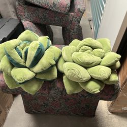 Succulent/Plant Pillows