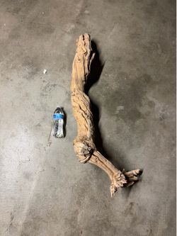Large Driftwood