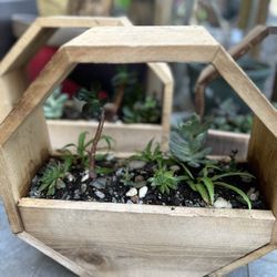 14 inch cedar succulent planter
