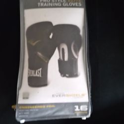 Brand New Boxing Gloves And New Bag