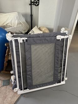 Summer Walk Through Gate