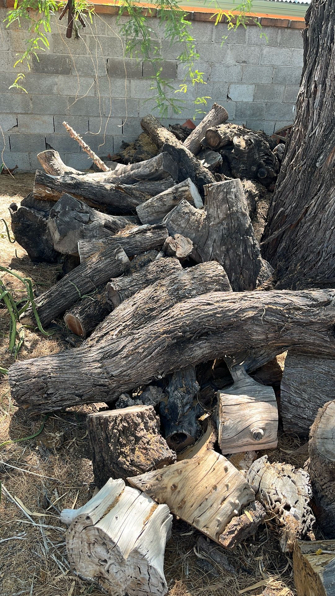 Mesquite Logs For Sale