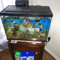 Pecera De 20 Galones Con Dos Filtro Y dos Pampas De Oxígeno Y Filtros Nuevos Todo Lo Que Se Mira En La Foto Menos La Mesa $55 