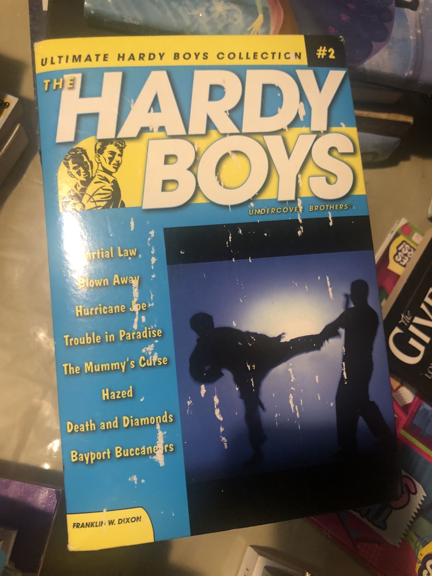 The Hardy Boys Sale for $10