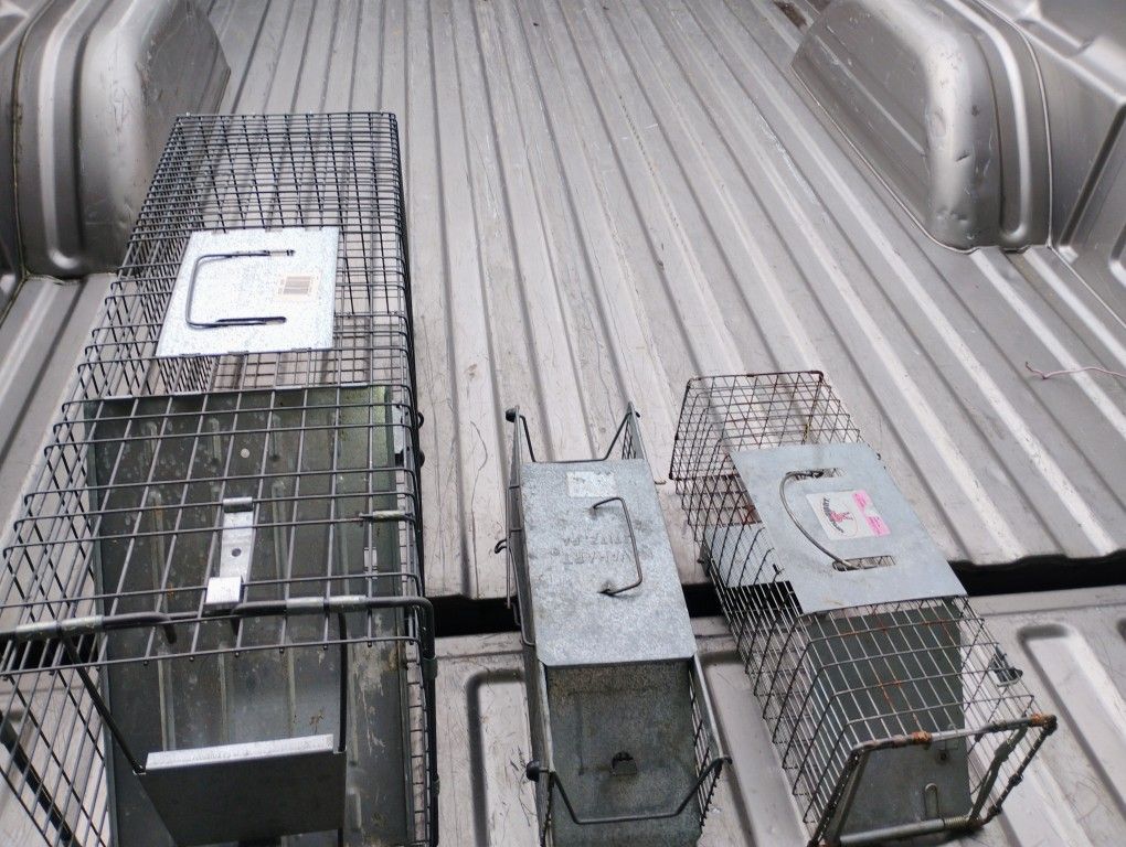 Live Animal Traps 