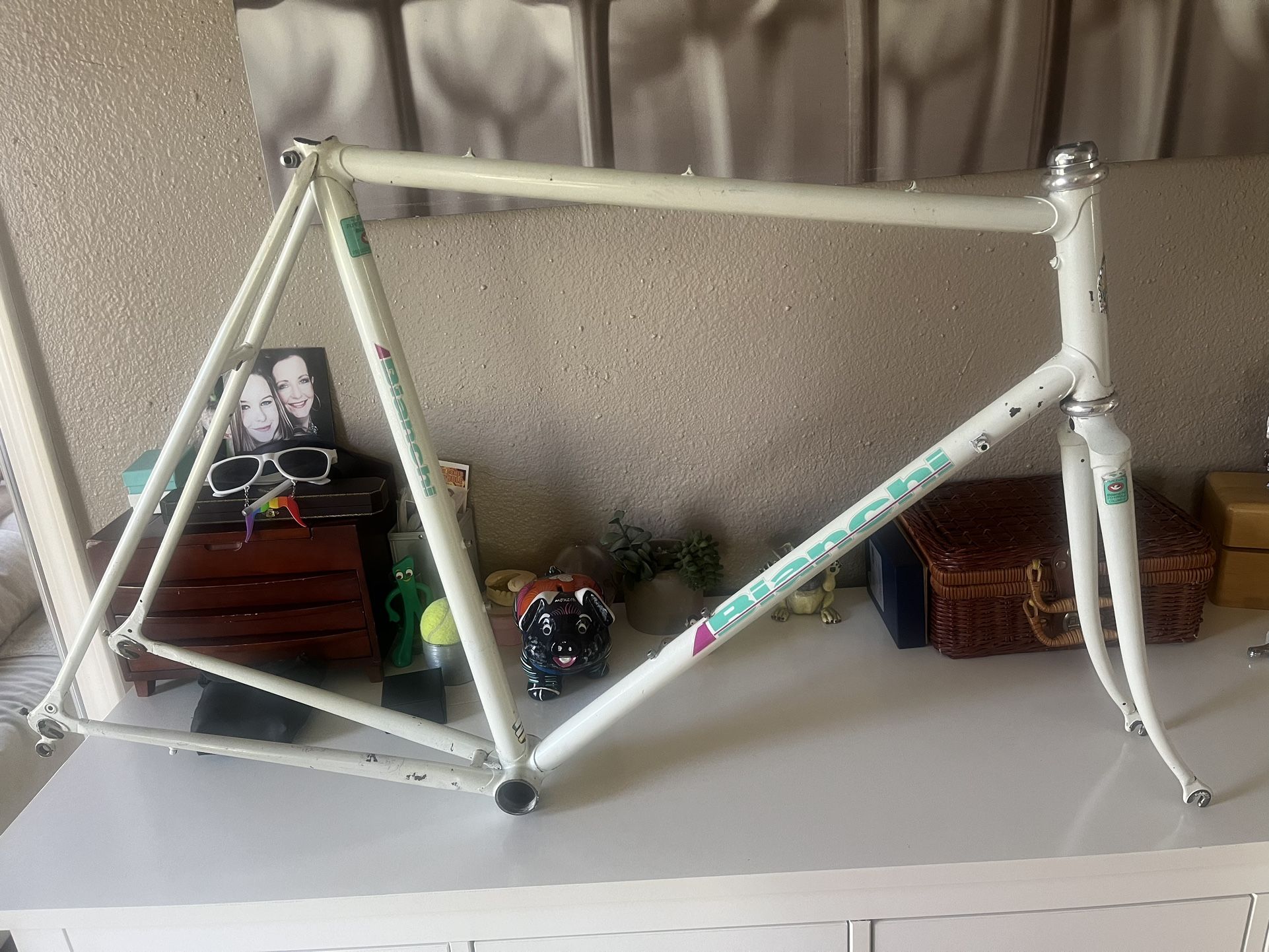 Vintage Bianchi Columbus Tubing Road Bike Frame