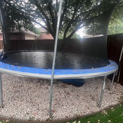 Trampoline 