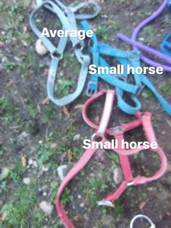 Horse tack lot. Make me an offer.