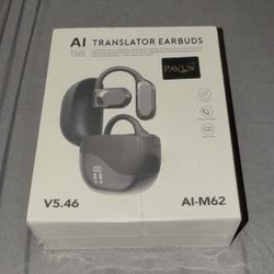 Ai language translating earbuds 