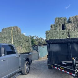 ALFALFA BALES $24