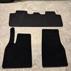 Tesla floor mats