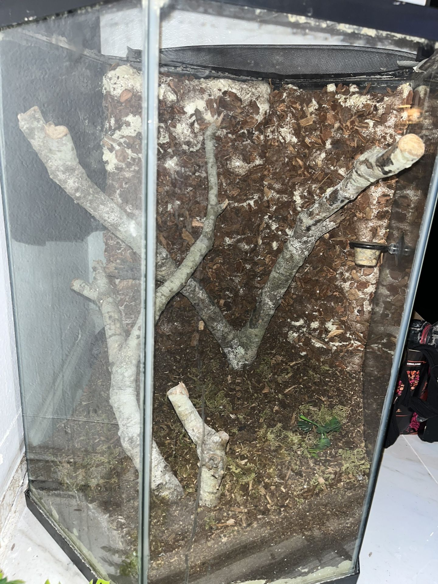 Reptile Tank