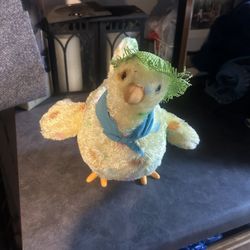 Laying egg chicken