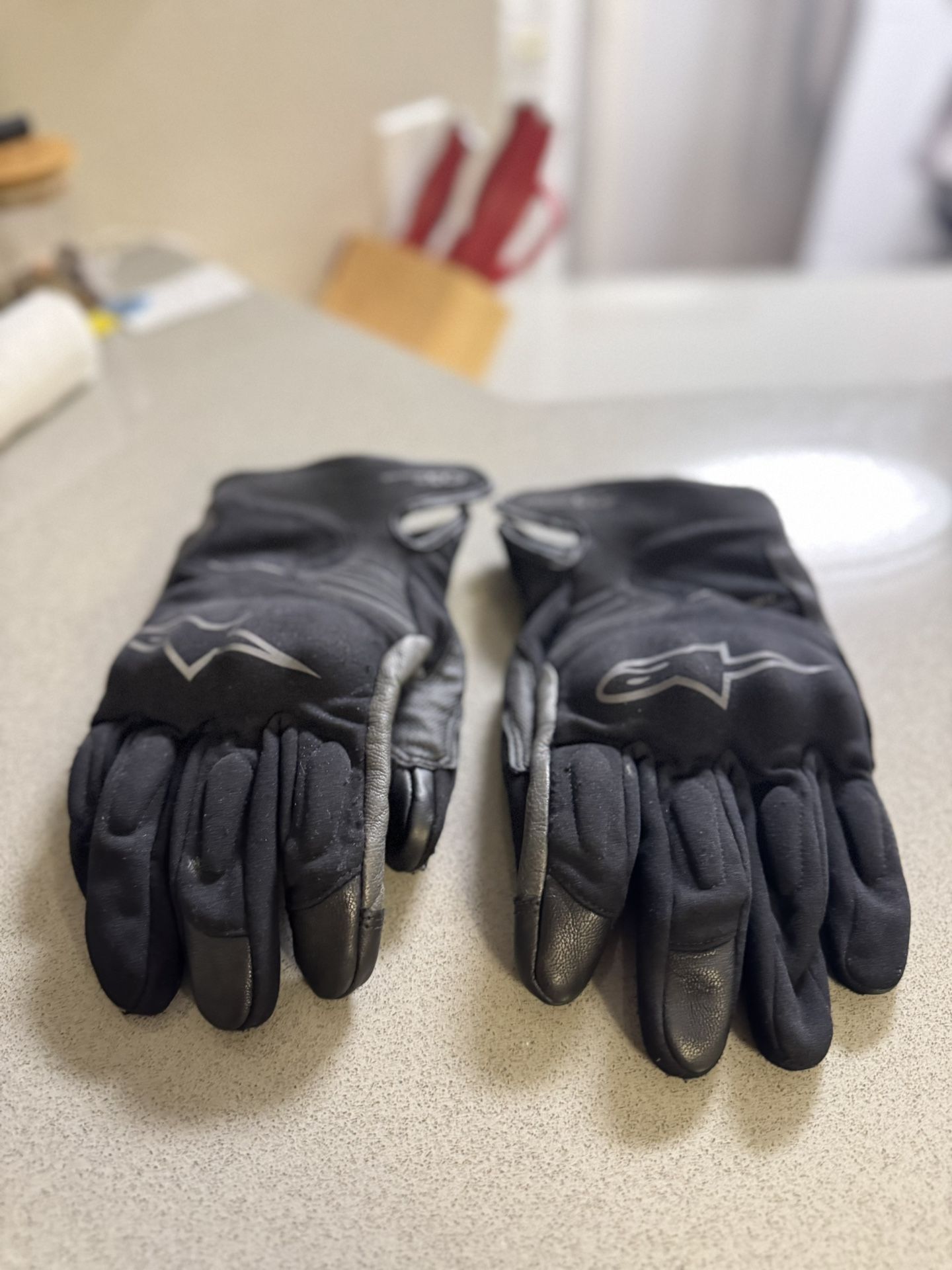 Alpine Star XL Winter Riding Gloves