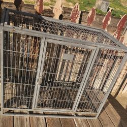 Dog Cage, Jaula 