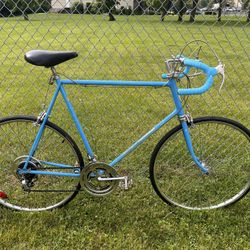 Schwinn Continental Mid 70’s Large / Tall Bike