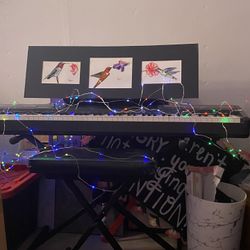 Weighted Keys Casio Keyboard / Piano