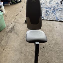Gold Gym Weight Bench