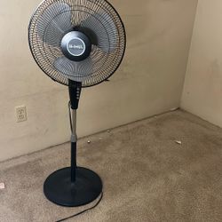 Pedestal Fan
