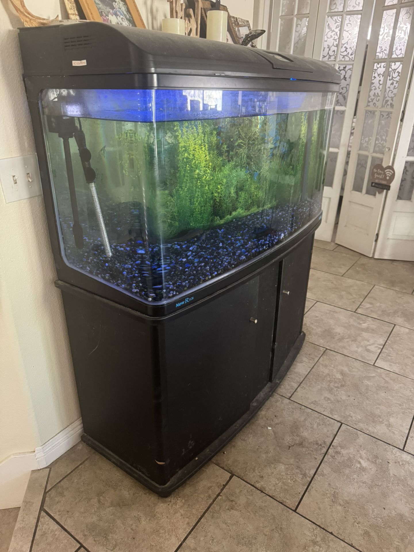 Fish Tank
