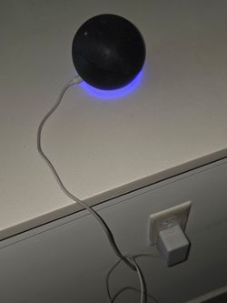 Amazon Echo Dot