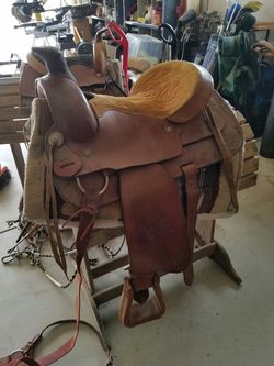 Adult saddle