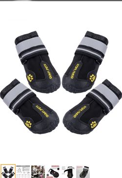 Dog shoes size 6