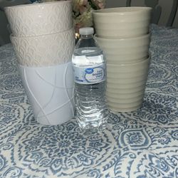 Vase (plant)