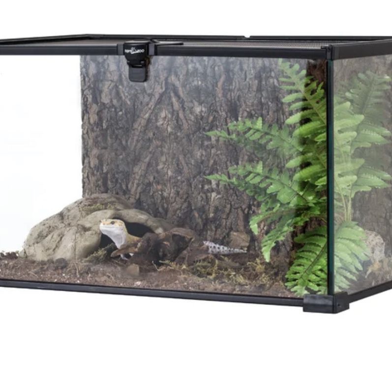 Terrarium With Media And Supplies , 10”x20”x8” Ready Habitar