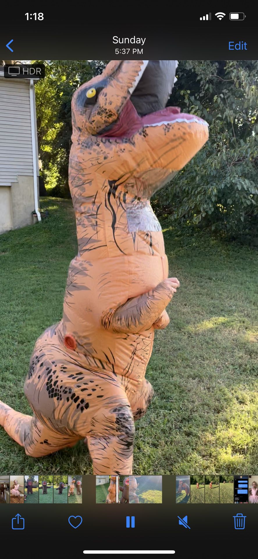 Adult Inflatable Dinosaur Costume 