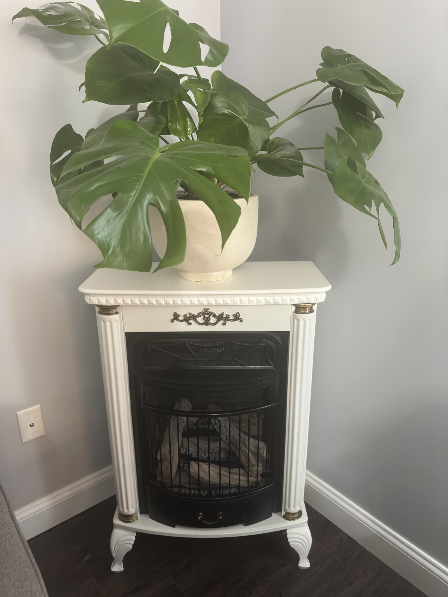 Natural Gas Fireplace