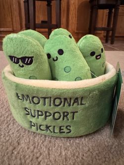 Emotional Support Pickles