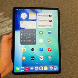 iPad Pro 11” 1st gen 256GB WiFi + Cellular Unlocked