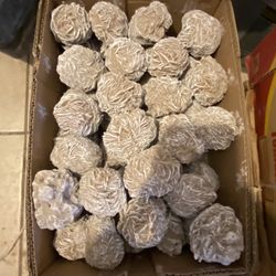 Desert Rose Selenite 