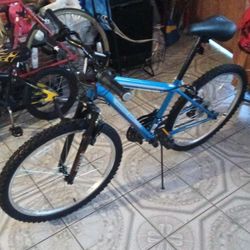 21 Speed Mountain Bicycle