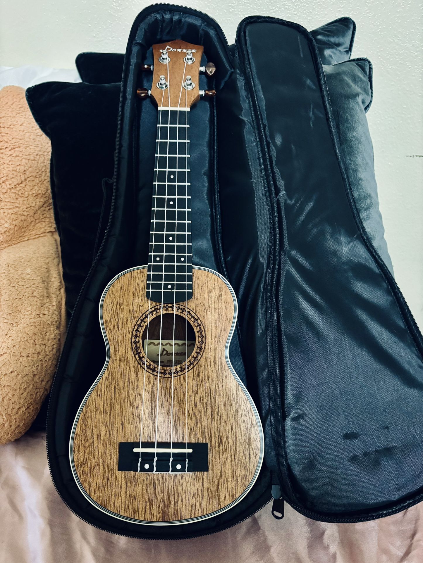 Donner Ukulele Instrument