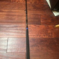 Fishing Rod For Sale
